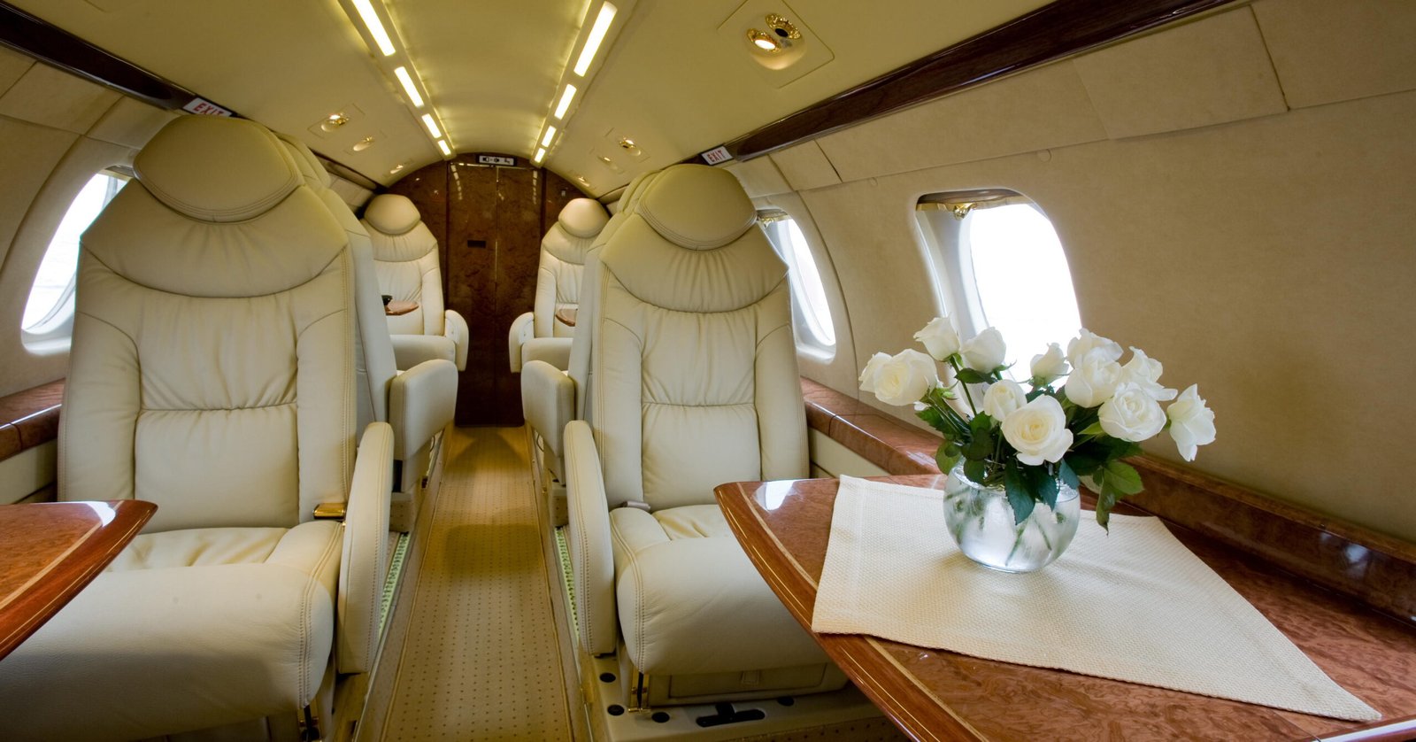 Luxury interior in bright colors of genuine leather in the business jet