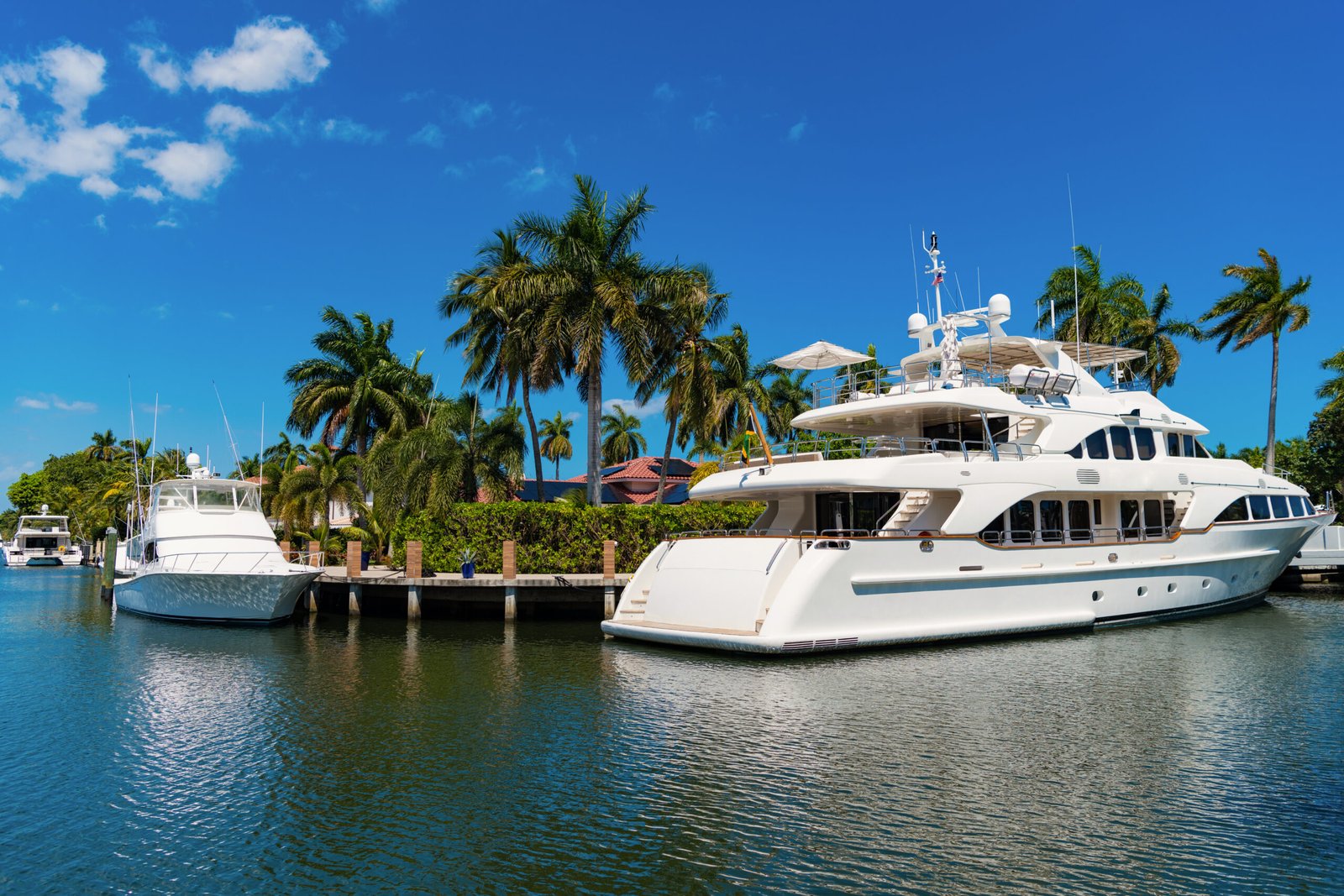 Summer vacation concept on a speed yacht boat with palm trees. Summer holidays on a luxury yacht. enjoying summer vacation on a boat in the sea. summer vacation with a speed boat yacht